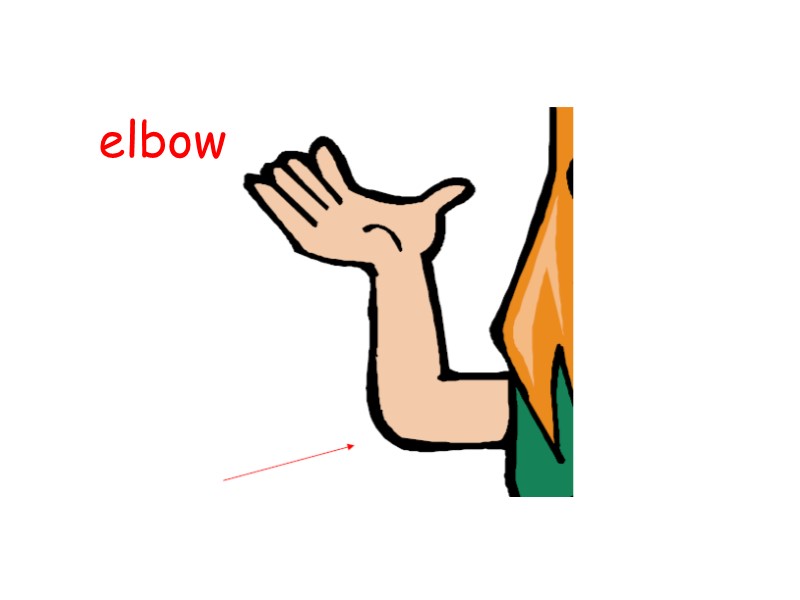 elbow